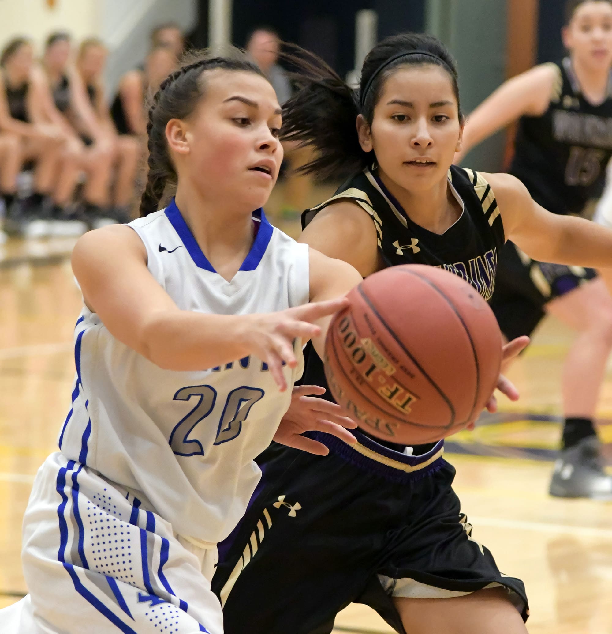 islander-images-kwHBTNUQIqs-unsplash